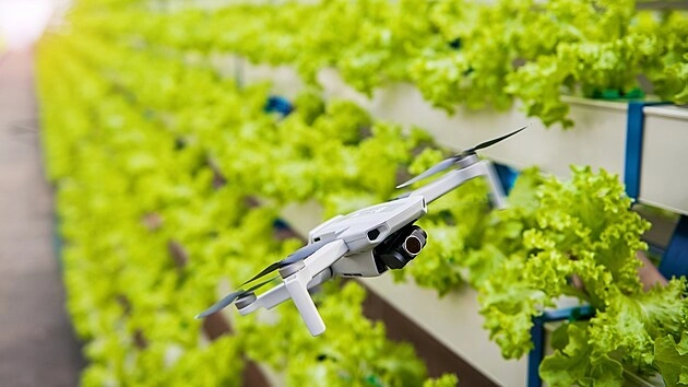 POSTUP V INSOLVENČNÍCH ŘÍZENÍCH GFF/FUTURE FARMING 16. 7. 2025